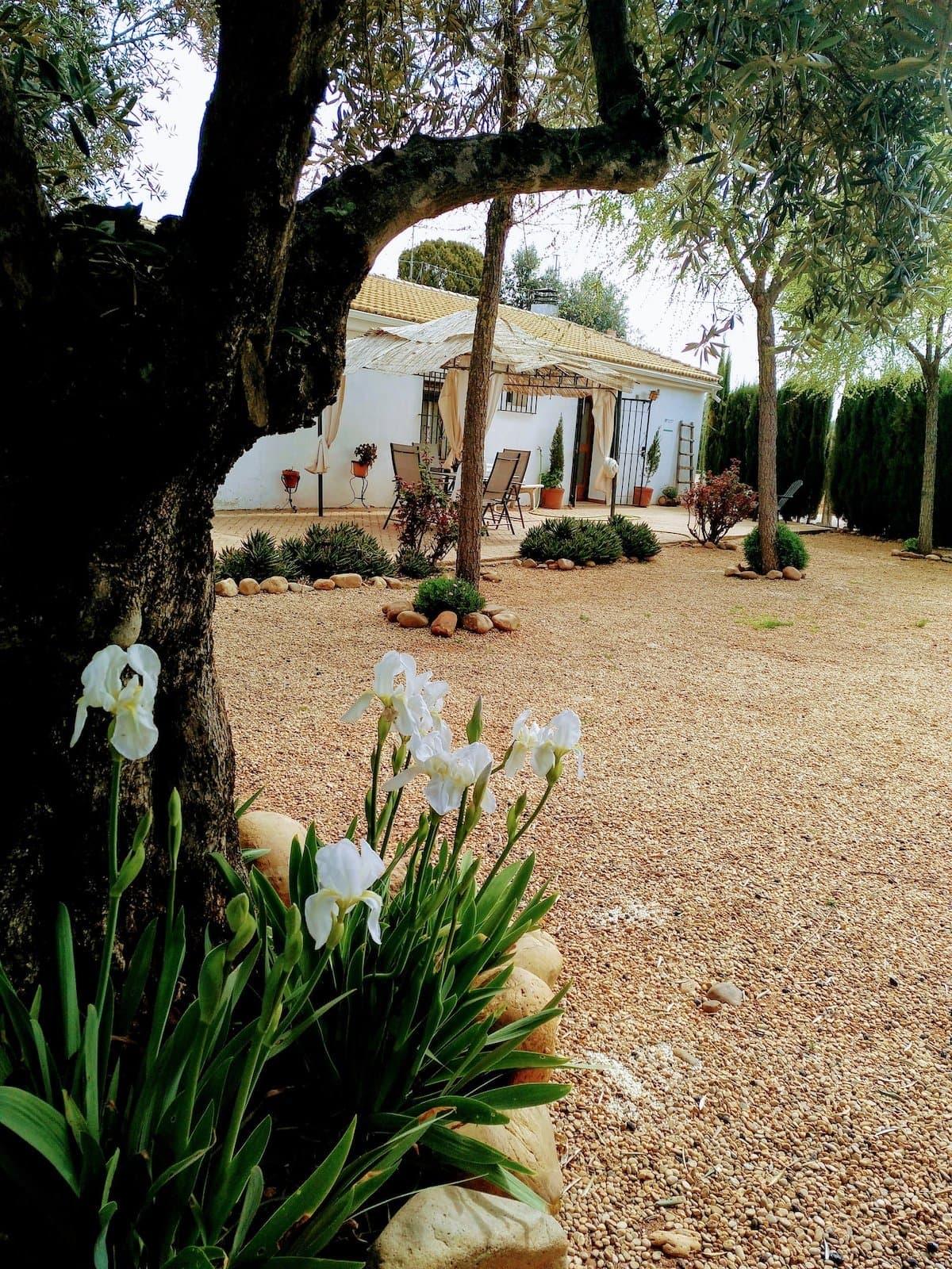 Casa del Abuelo José Marmolejo