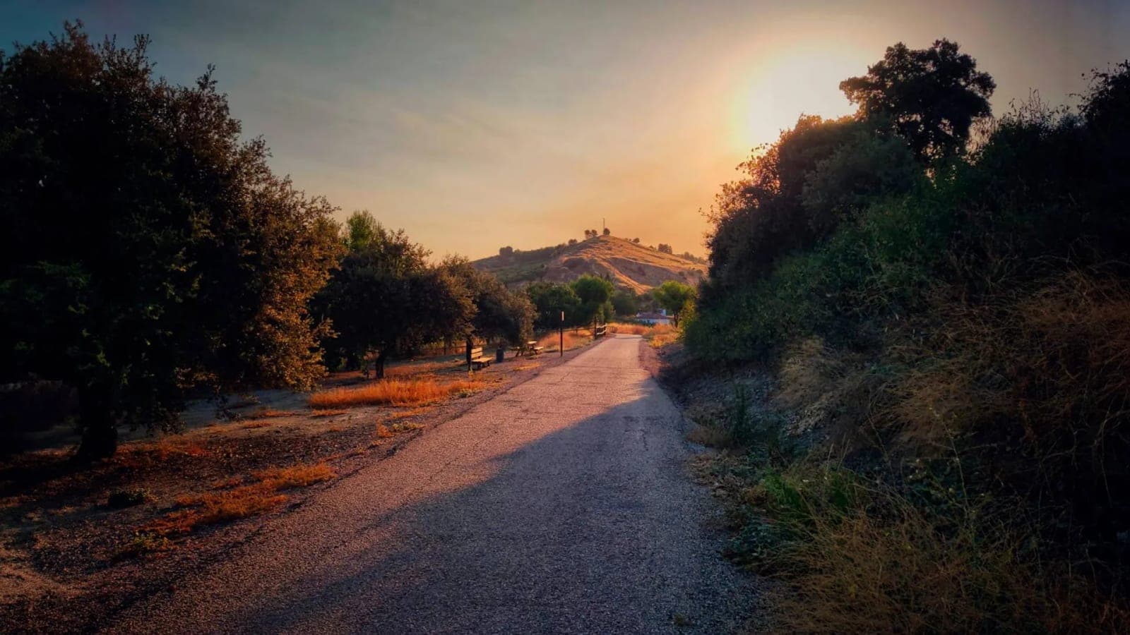 Alquiler de bicicletas para recorrer la Vía Verde del Aceite desde Martos