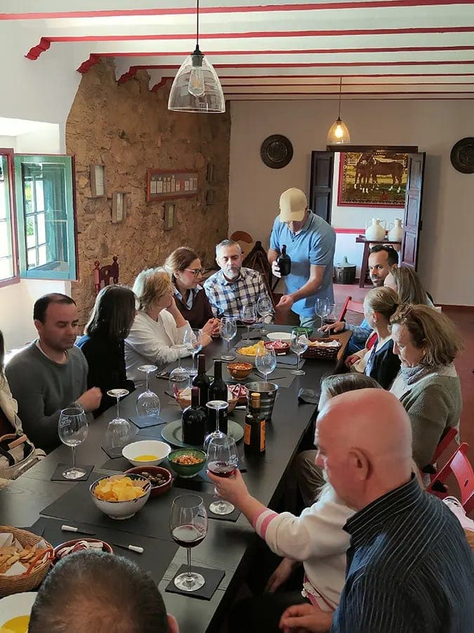 Cata de vinos entre viñedos en territorio del lince en Andújar