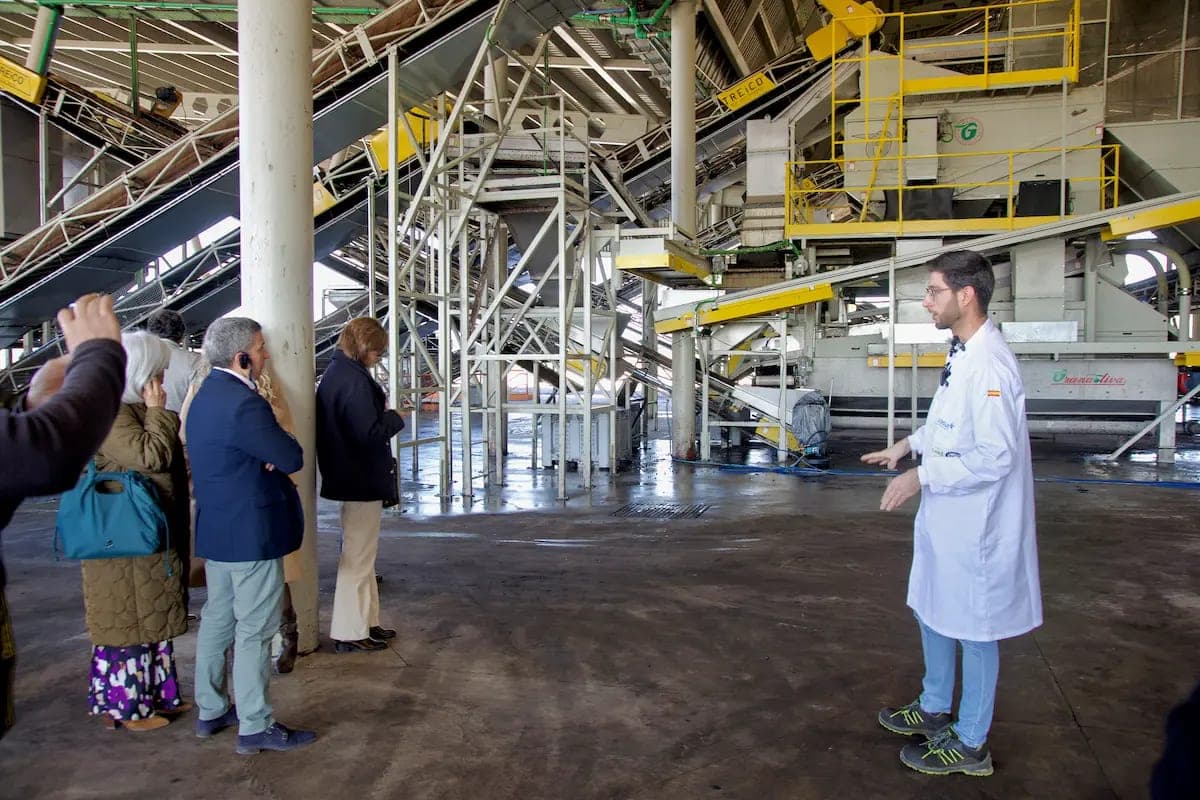 Visita a la almazara Coosur de Jabalquinto con taller de aceite