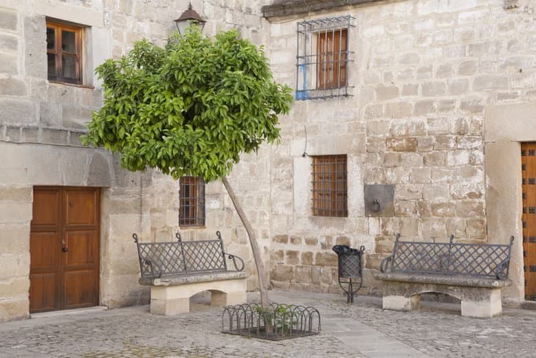Tour de Úbeda al completo