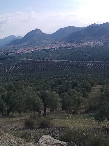 Fuente Vieja