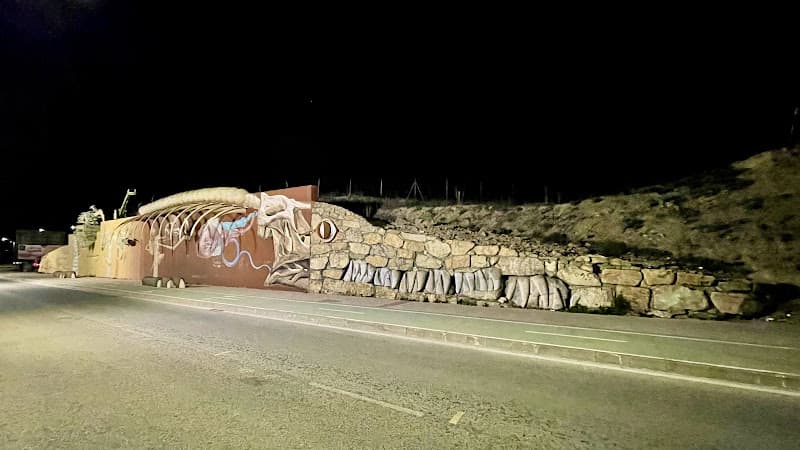 Lagarto de piedra