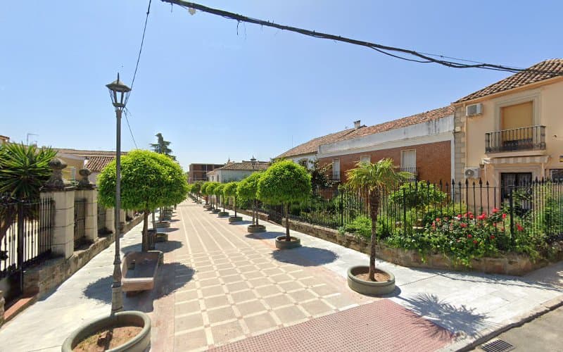 Palacete del siglo XIX de la Calle Jardines