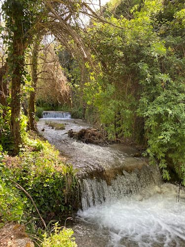 Paseo de los Jilgueros