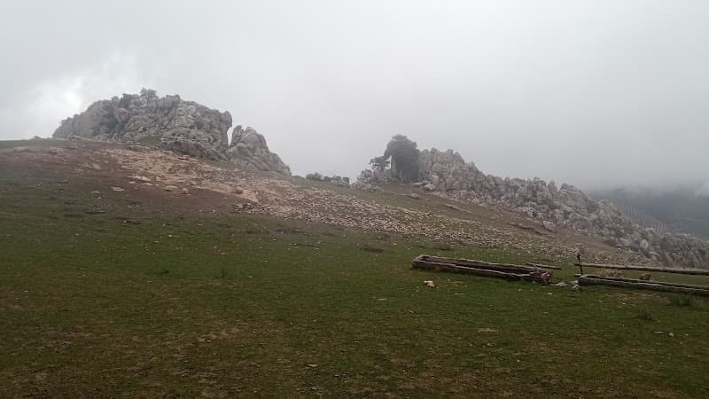 Poyo los toros